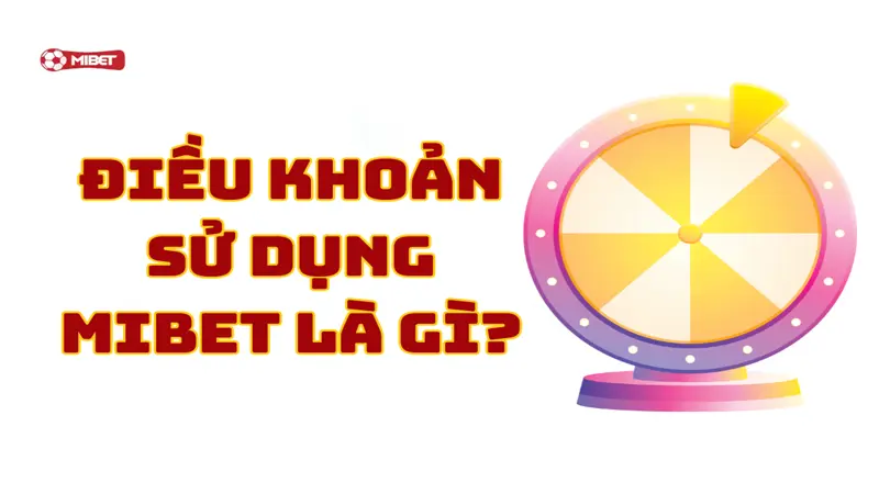 Tìm hiểu về điều khoản sử dụng Mibet