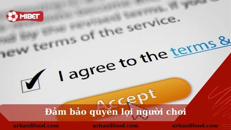 Điều kiện và điều khoản Mibet về giao dịch nạp rút tiền