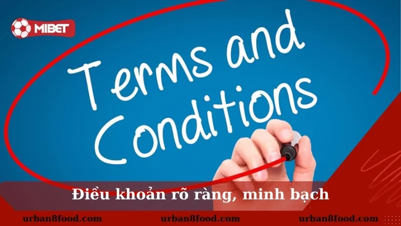 Quyền lợi và trách nhiệm của người chơi tại Mibet